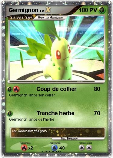 Pokemon Germignon