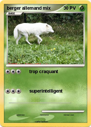 Pokemon berger allemand mix