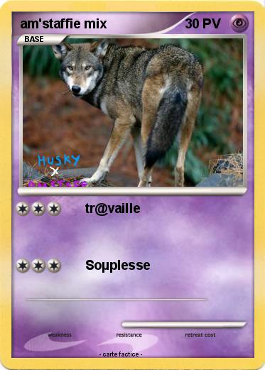 Pokemon am'staffie mix