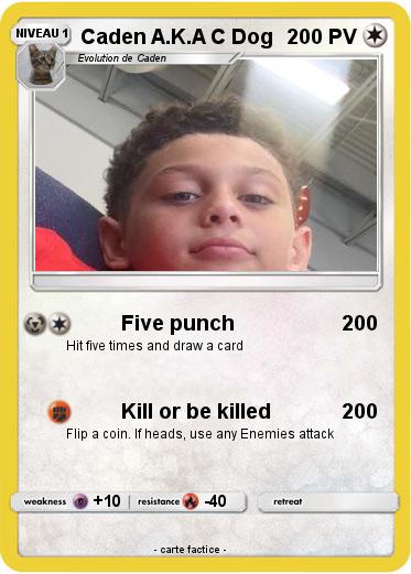 Pokemon Caden A.K.A C Dog
