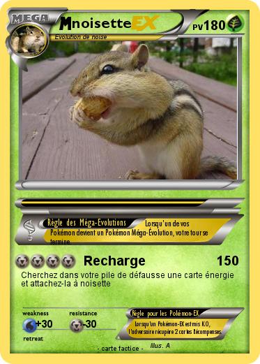 Pokemon noisette