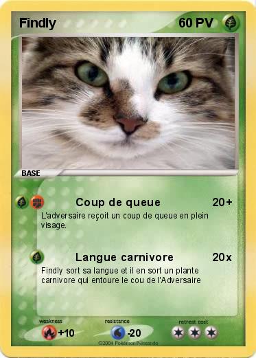 Pokemon Findly