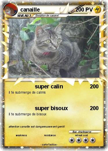 Pokemon canaille