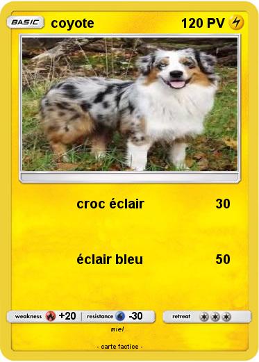 Pokemon coyote