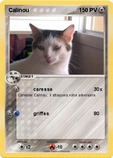 Pokemon Calinou