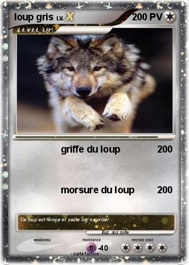 Pokemon loup gris