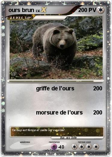 Pokemon ours brun