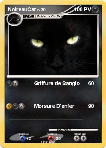Pokemon NoireauCat