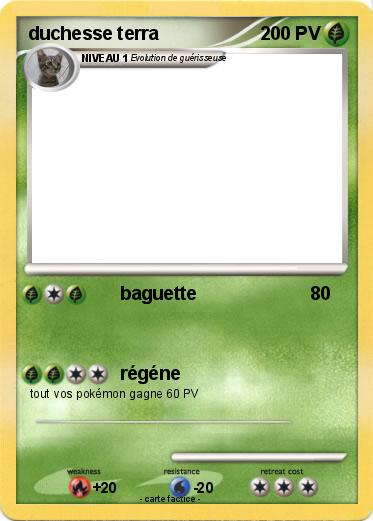 Pokemon duchesse terra