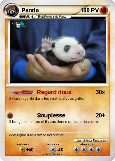 Pokemon Panda