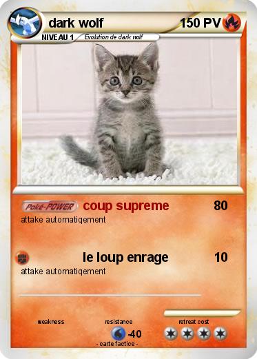 Pokemon dark wolf