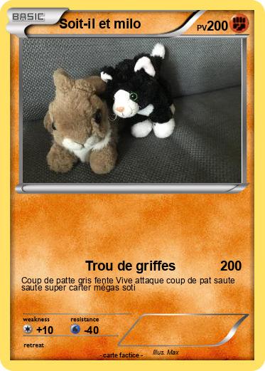 Pokemon Soit-il et milo