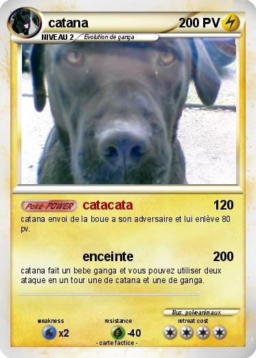 Pokemon catana
