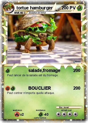 Pokemon tortue hamburger