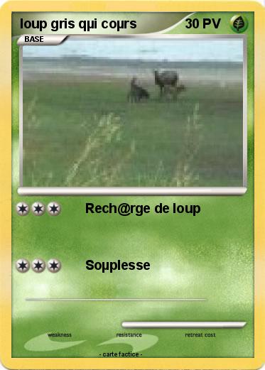 Pokemon loup gris qµi coµrs
