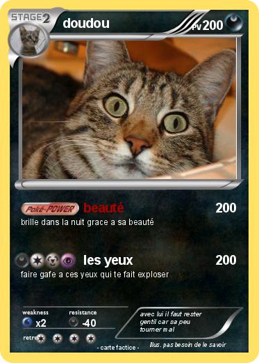 Pokemon doudou