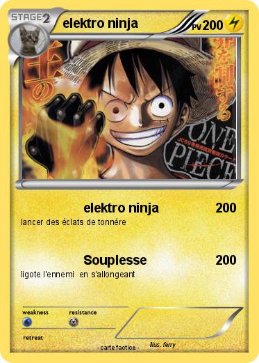 Pokemon elektro ninja