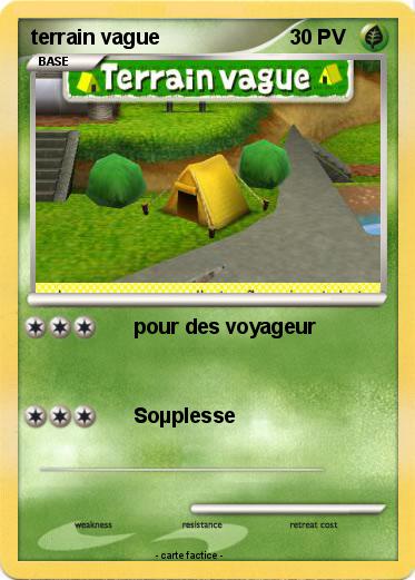 Pokemon terrain vague