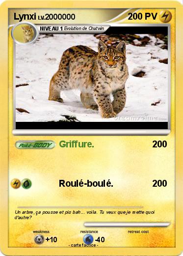 Pokemon Lynxi