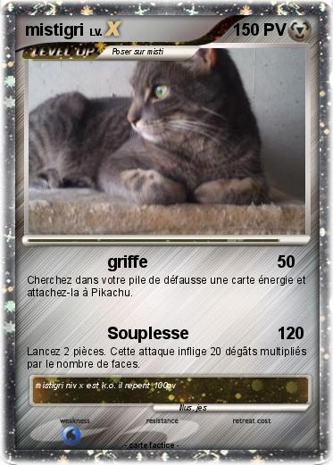 Pokemon mistigri