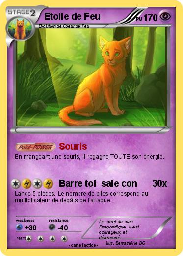 Pokemon Etoile de Feu