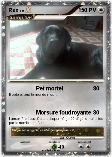 Pokemon Rex
