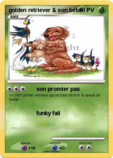 Pokemon golden retriever & son bébé