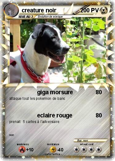 Pokemon creature noir