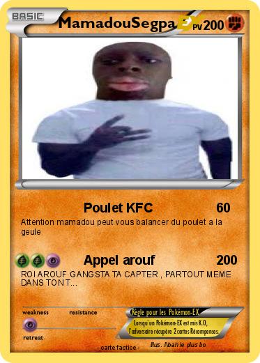 Pokemon MamadouSegpa