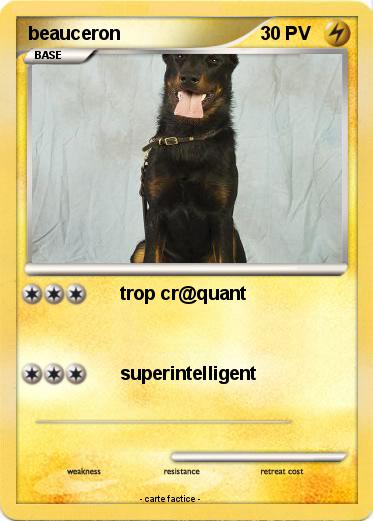 Pokemon beauceron