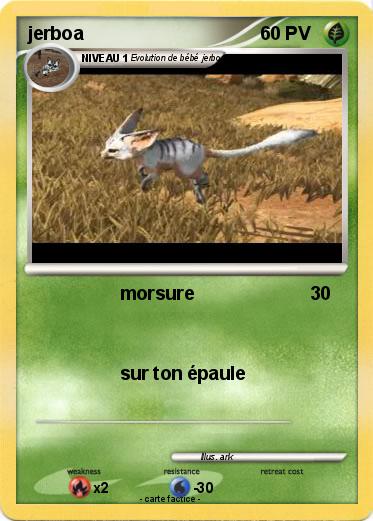 Pokemon jerboa
