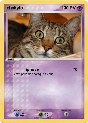 Pokemon chokyto