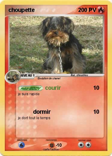 Pokemon choupette