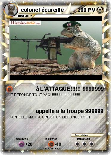 Pokemon colonel écureille