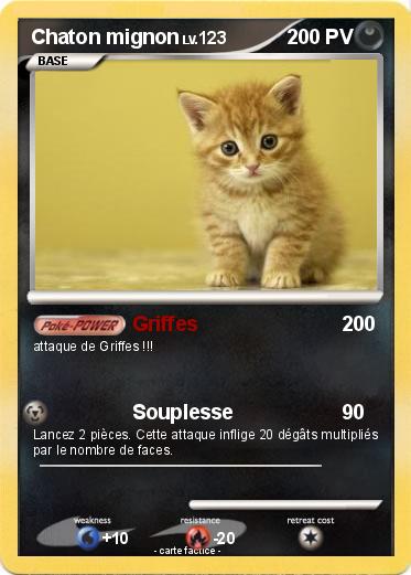 Pokemon Chaton mignon