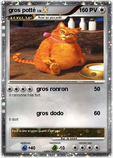 Pokemon gros potté