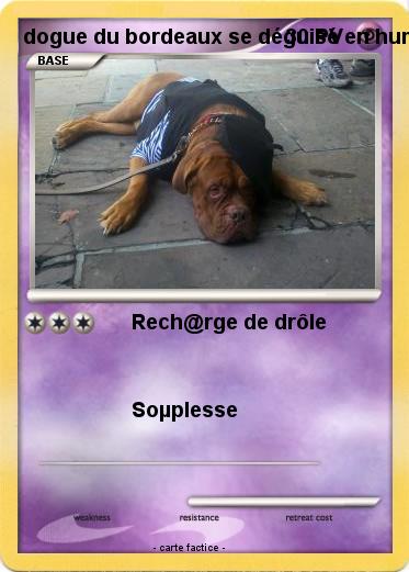 Pokemon dogue du bordeaux se déguisé en humain