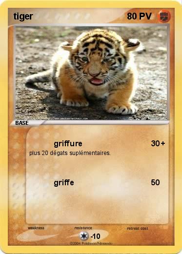 Pokemon tiger 