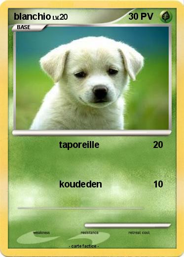 Pokemon blanchio