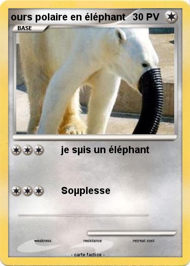 Pokemon ours polaire en éléphant