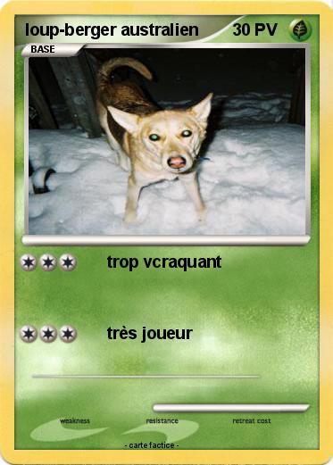 Pokemon loup-berger australien
