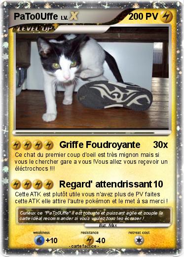 Pokemon PaTo0Uffe