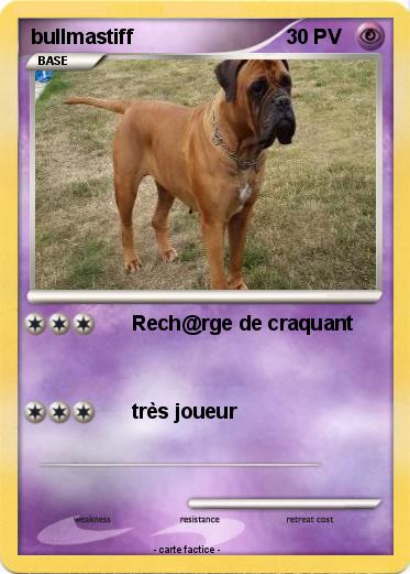 Pokemon bullmastiff