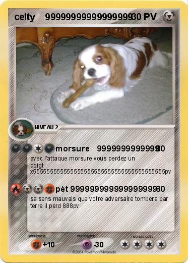 Pokemon celty    99999999999999999