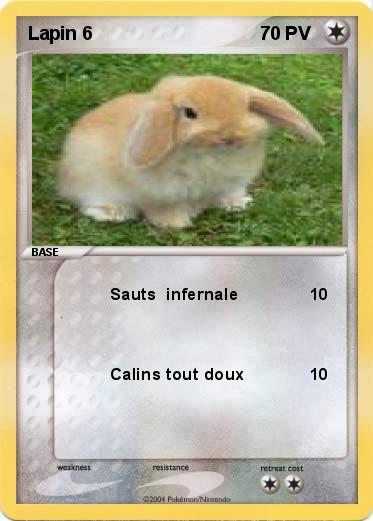 Pokemon Lapin 6