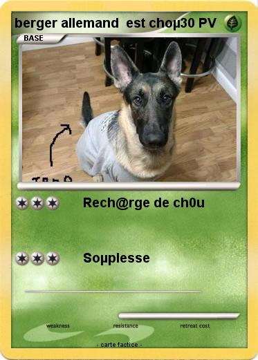 Pokemon berger allemand  est choµ