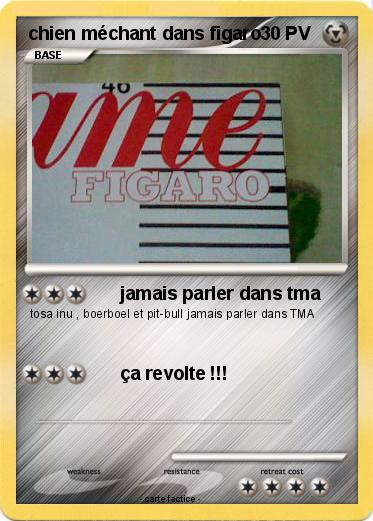 Pokemon chien méchant dans figaro