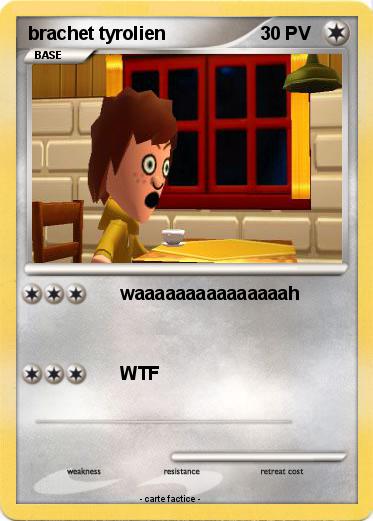 Pokemon brachet tyrolien