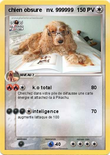 Pokemon chien obsure   nv. 999999
