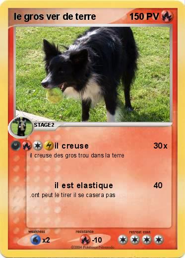 Pokemon le gros ver de terre